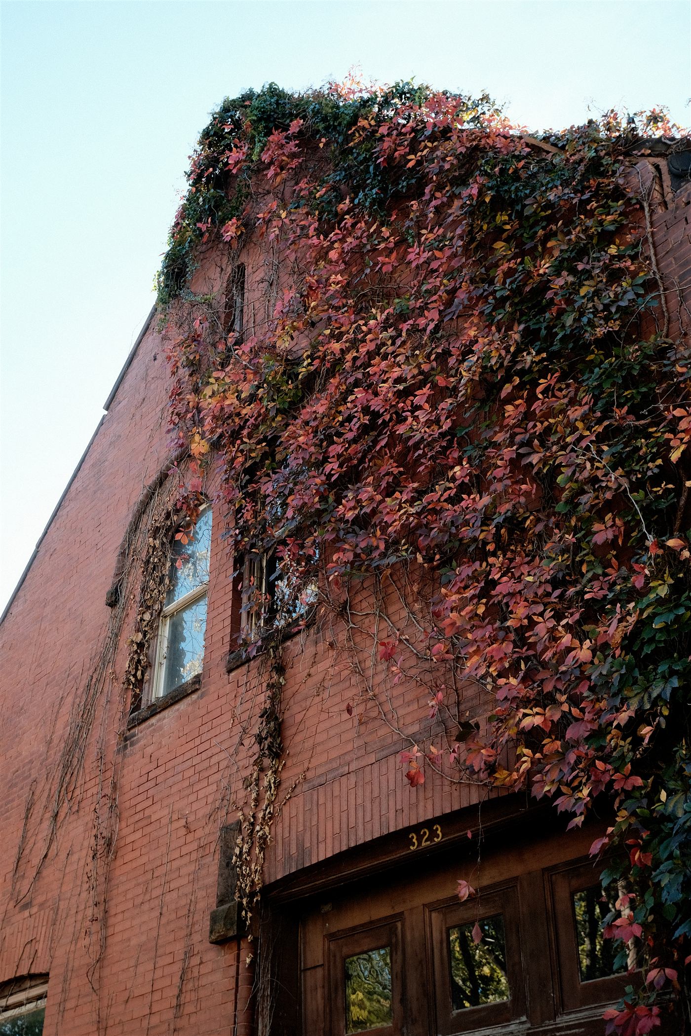 A red brick building draped in autumn vines above a weathered wooden door